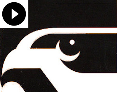 Falke 3